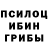 Галлюциногенные грибы Magic Shrooms nikolay Bespalko