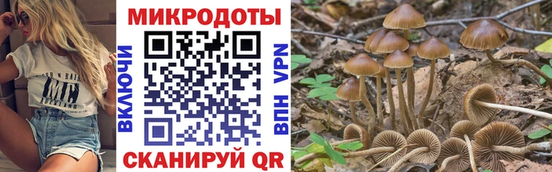 Псилоцибиновые грибы ЛСД  Купить  Козельск 